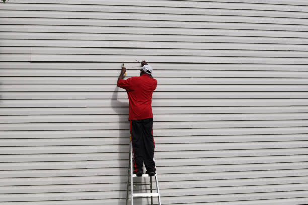 Best Siding Painting and Refinishing  in Fulda, MN